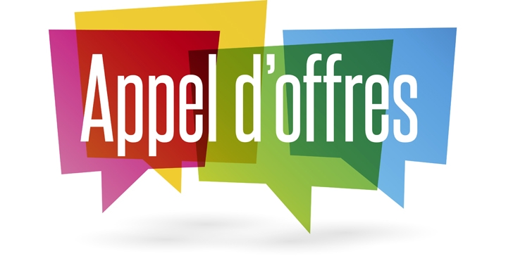 AVIS D’APPEL D’OFFRES  N° 08/2023